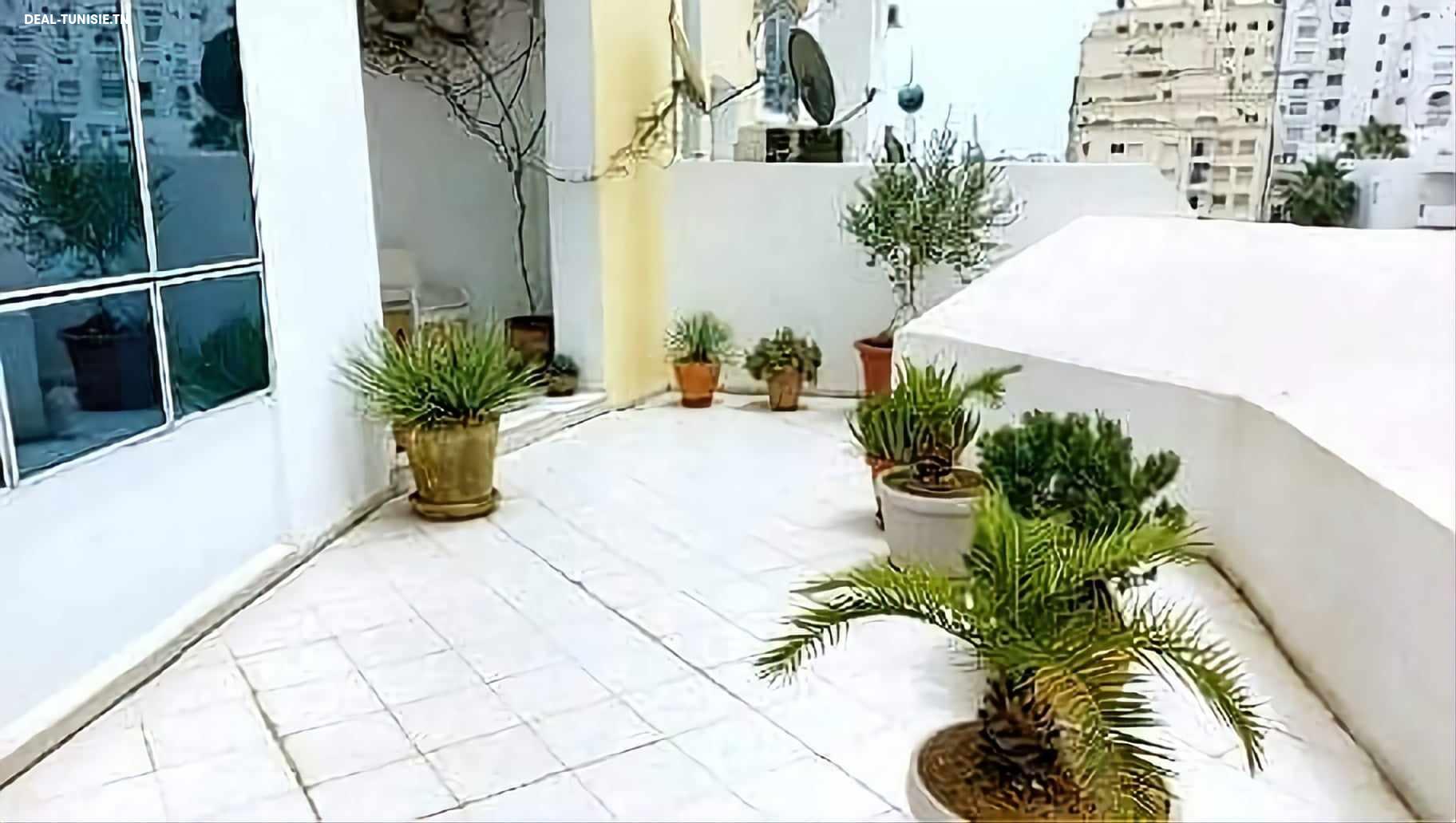 Image Annonce Deal-tunisie