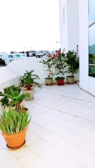 Image Annonce Deal-tunisie